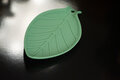 Siliconen lepel legger Sage Green