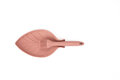 Siliconen kwast Raspberry Pink